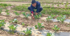 【市城市燃熱集團富泰熱力】班定營供暖分公司黨建引領場站建設結碩果