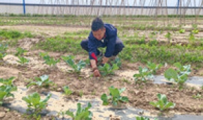 【市城市燃熱集團富泰熱力】班定營供暖分公司黨建引領場站建設結碩果